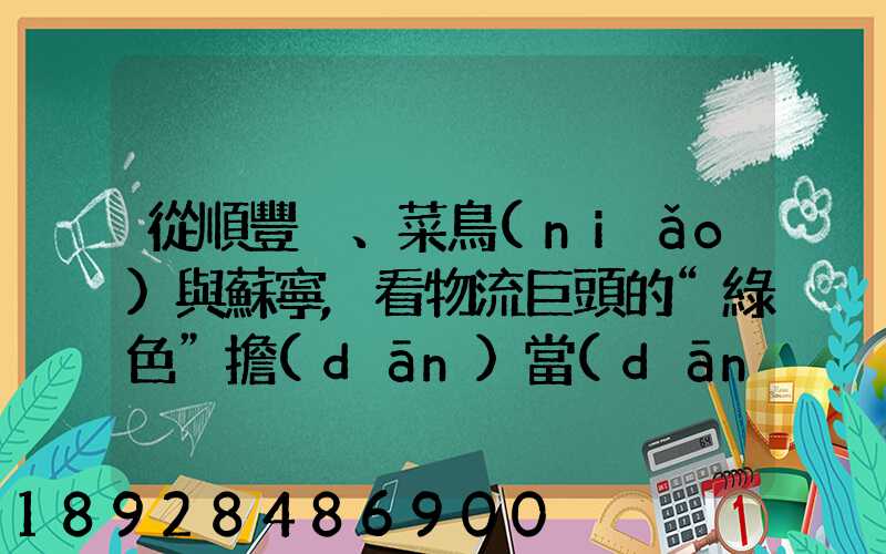 從順豐、菜鳥(niǎo)與蘇寧,看物流巨頭的“綠色”擔(dān)當(dāng)